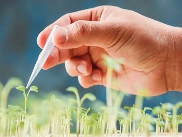 افزایش ۱۱۰ برابری تولید محصولات کشاورزی در طی ۲۰ سال اخیر/ کاهش گازهای گلخانه‌ای با بیوتکنولوژی