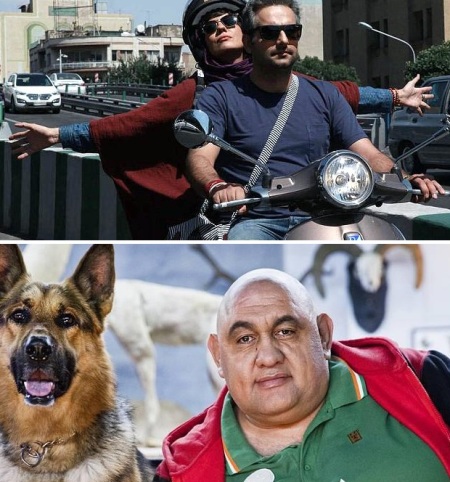 یک حضور و یک جایزه جهانی برای دو فیلم ایرانی