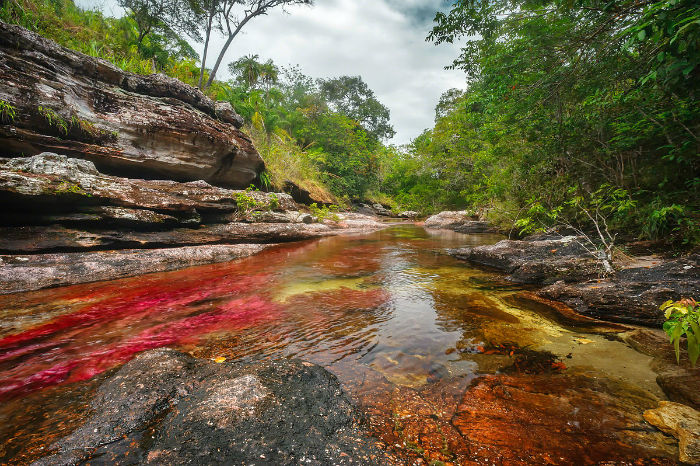 رودخانه رنگین کمانی در کلمبیا